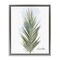 Stupell Industries Modern Date Palm Leaf Floating Frame By Matthew Piotrowicz